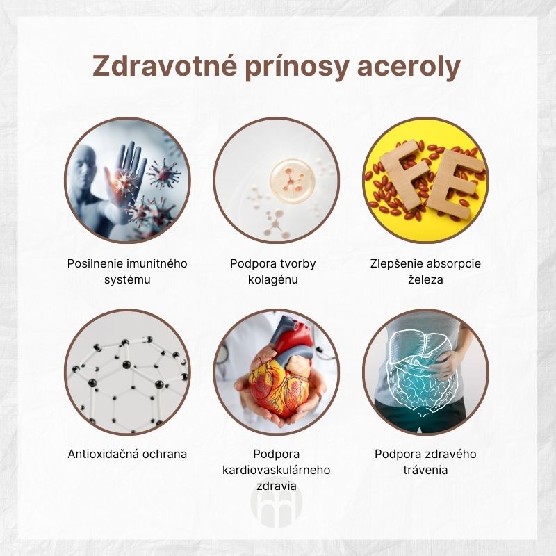 (Slovenčina) Zdravotní přínosy aceroly